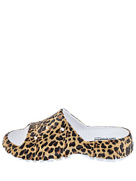 SD020-012 Сланцы